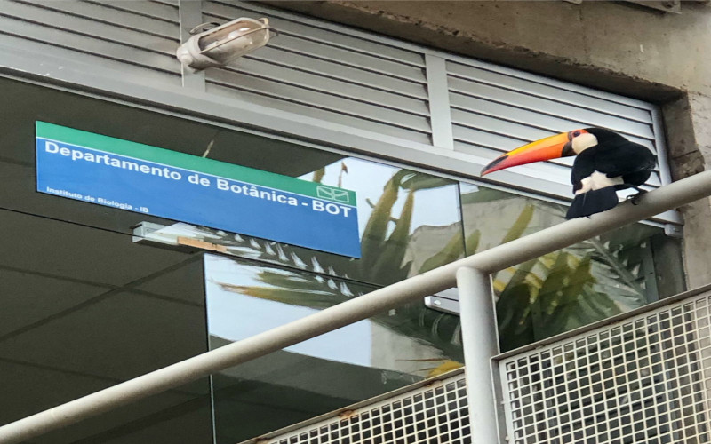 Departamento de Botânica