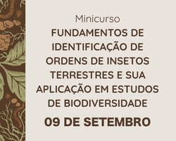 Fundamentos de identificação de ordens de insetos terrestres e sua aplicação em estudos de biodiversidade