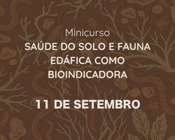 Saúde do Solo e Fauna Edáfica como bioindicadora