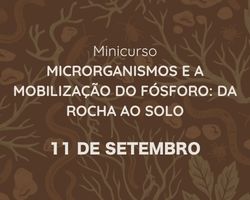 Microrganismos e a mobilização do fósforo: da rocha ao solo